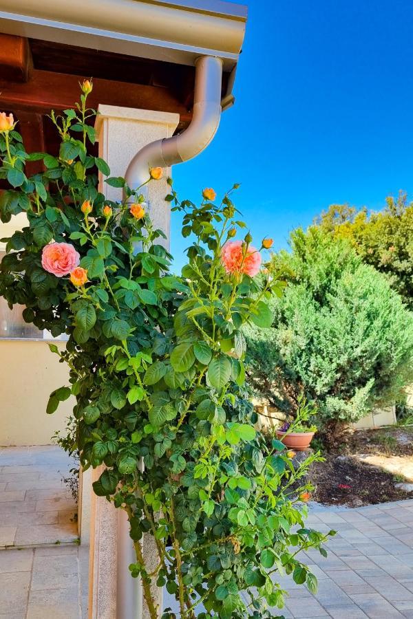 Holiday Home - Istrian Dream With Swimming Pool Peroj Εξωτερικό φωτογραφία