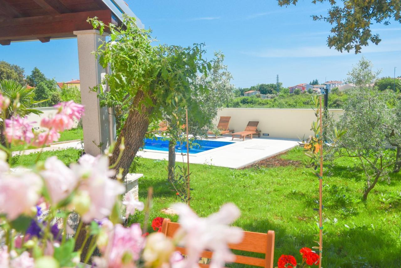 Holiday Home - Istrian Dream With Swimming Pool Peroj Εξωτερικό φωτογραφία